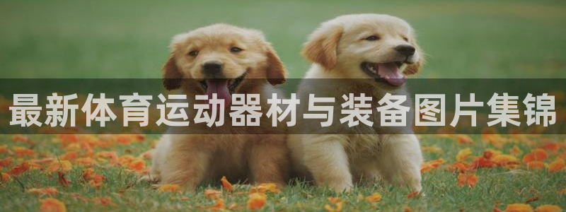 意昂5(KGAME)开户：最新体育运动器材与装备图片集锦