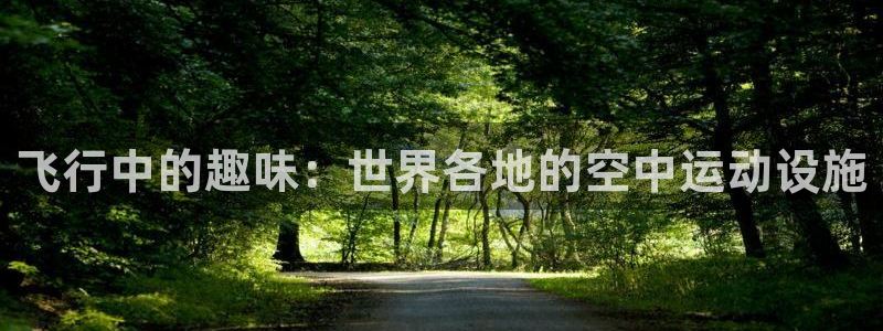 意昂体育5(KGAME)招商电话是多少号码：飞行中的