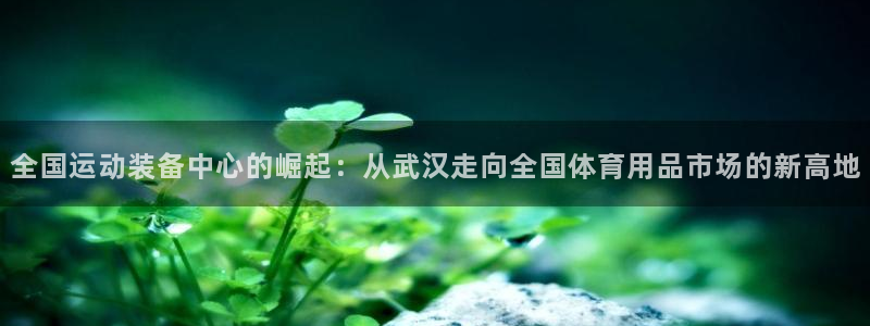 意昂5(KGAME)娱乐：全国运动装备中心的崛起：从武汉走向