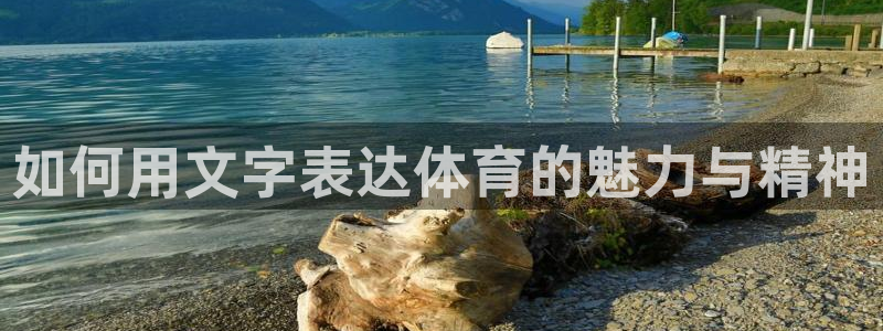 必一运动：如何用文字表达体育的魅力与精神