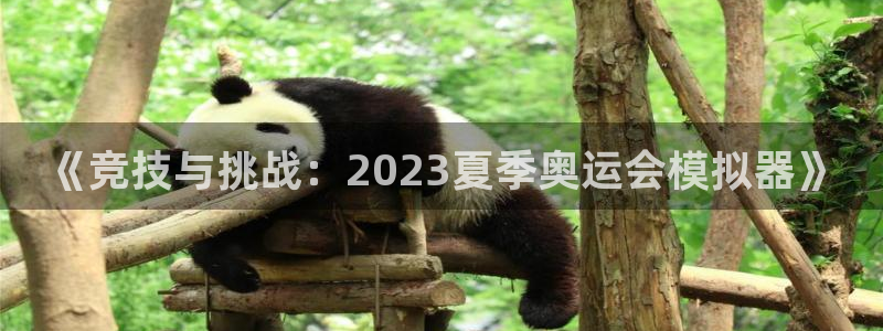 必一运动app：《竞技与挑战：2023夏季奥运会模拟器》
