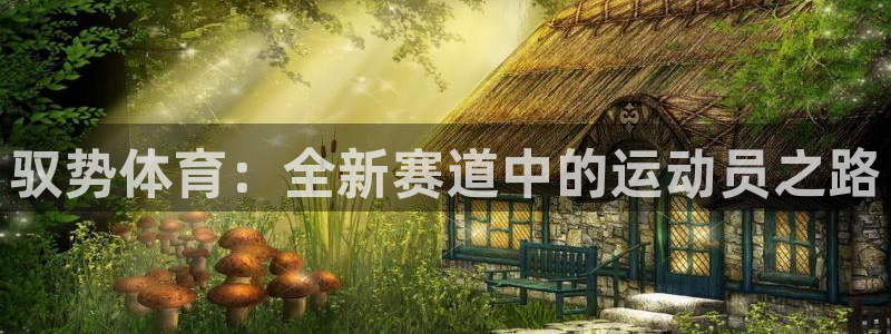bsports官网 必一运动：驭势体育：全新赛道中的运动员之路