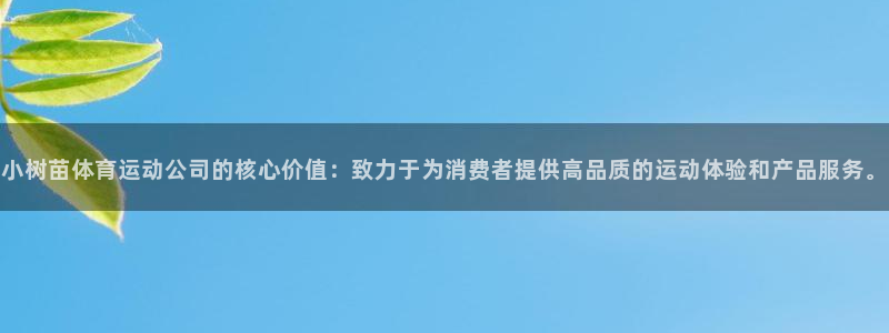 必一运动官网入口：小树苗体育运动公司的核心价值：致力于为消费者提供高品质的运动体验和产品服务。
