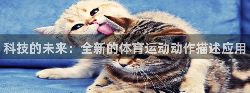 必一运动：科技的未来：全新的体育运动动作描述应用