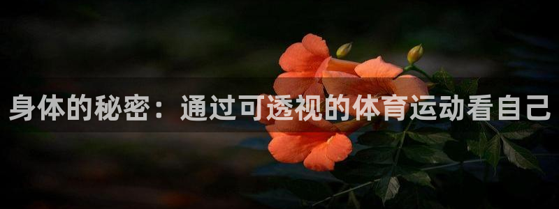必一运动bsport体育：身体的秘密：通过可透视的体育运动看自己