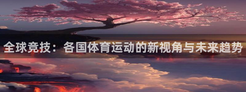 bsport必一运动：全球竞技：各国体育运动的新视角与未来趋势