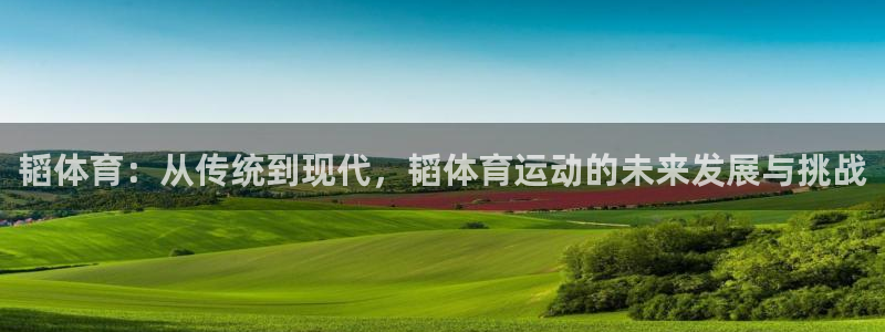 必一运动官网入口：韬体育：从传统到现代，韬体育运动的未来发展与挑战