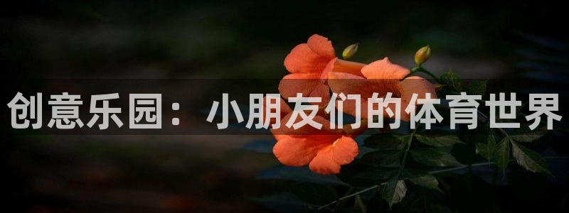 必一运动官网入口：创意乐园：小朋友们的体育世界