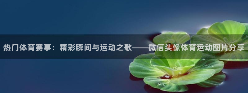 必一运动：热门体育赛事：精彩瞬间与运动之歌——微信头像体育运动图片分享