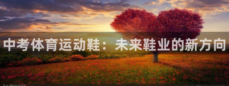必一运动官网入口：中考体育运动鞋：未来鞋业的新方向