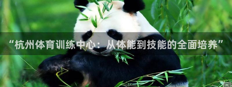 必一运动体育官网：“杭州体育训练中心：从体能到技能的全面培养”