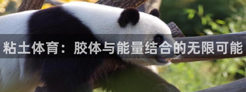 必一运动体育官网：粘土体育：胶体与能量结合的无限可能