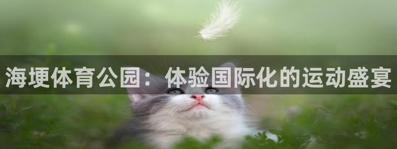 bsports必一运动：海埂体育公园：体验国际化的运动盛宴