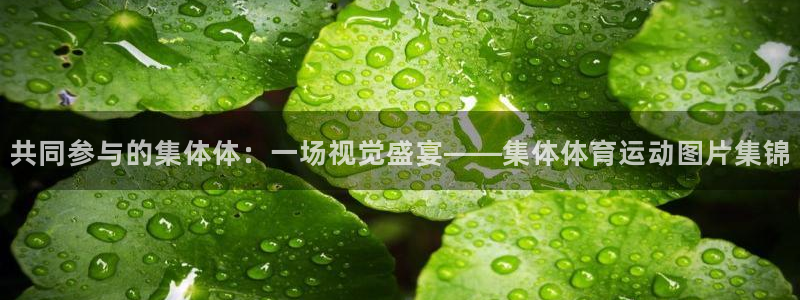 必一运动官网入口：共同参与的集体体：一场视觉盛宴——集体体育运动图片集锦