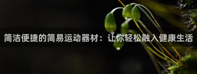 意昂5(KGAME)代理:简洁便捷的简易运动器材:让你轻松融