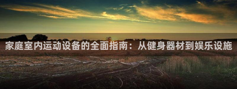 意昂体育5(KGAME)平台注册要钱吗是真的吗:家庭室内运动