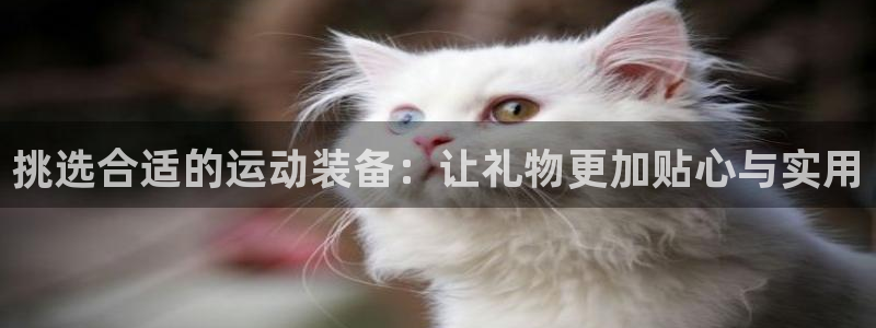 意昂体育5(KGAME)招商电话号码查询是多少:挑选合适的运